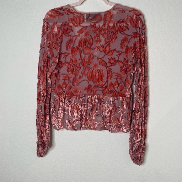 Alexis Long Sleeve Silk Sheer Velvet Top Front Tie Deep V Neckline Size M Salmon - Picture 2 of 12